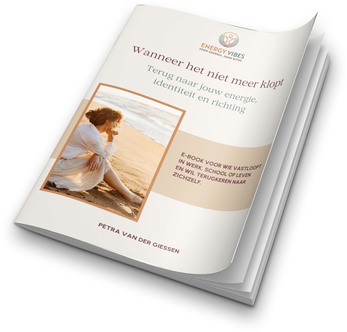 E-book Wanneer het niet meer klopt
